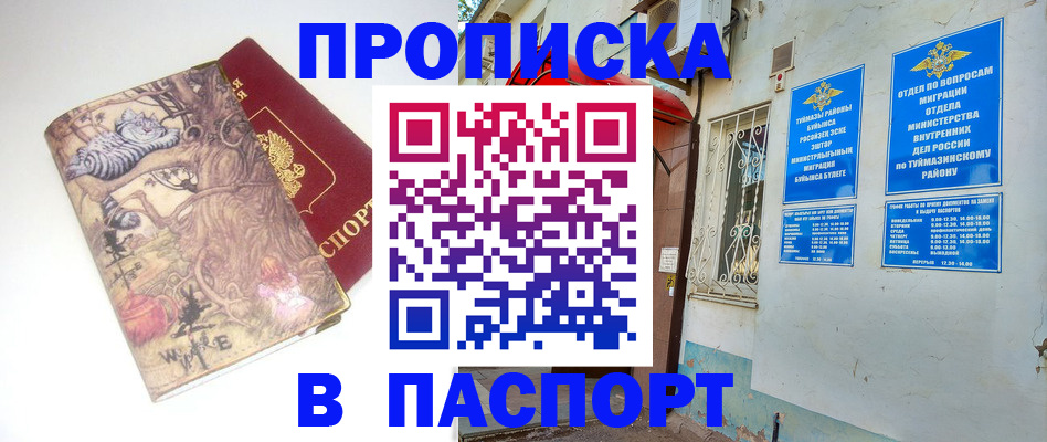 пропишу в квартире в Пионерском